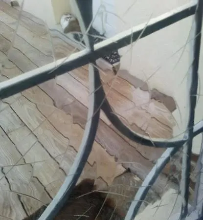 住宿加早餐酒店 En Dans Un Esprit Campagne *